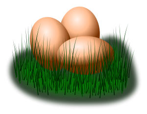 eggs in grass